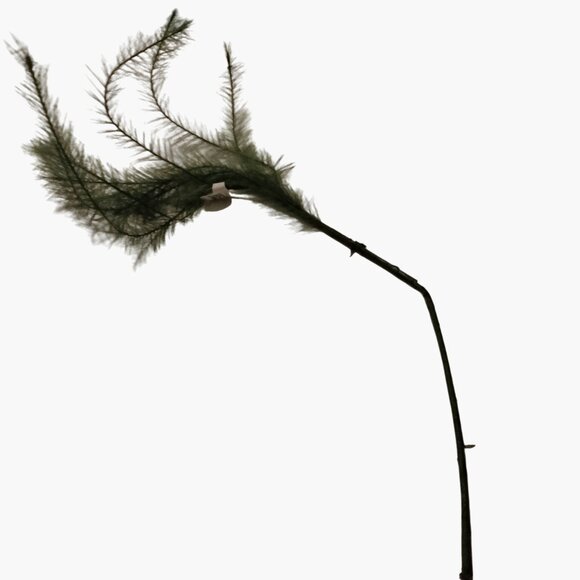 Artificial Fern Spray Branch Green Stem Wispy Feathery Foliage Floral Craft - Picture 4 of 5